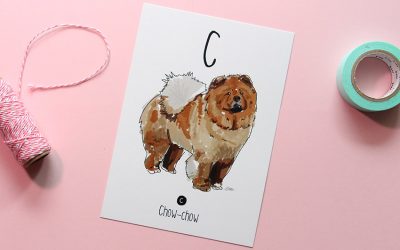 Carte postale chien Chow-chow