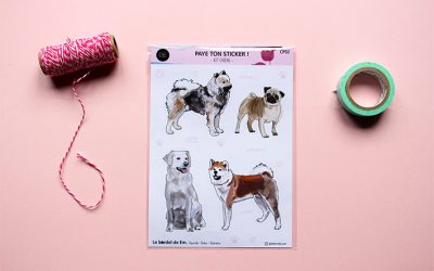 Pack 4 stickers chiens illustrés N2